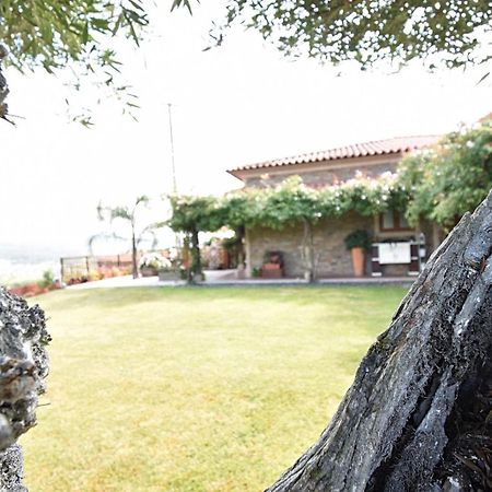 Vila Casa De Ryvyo Penafiel Exteriér fotografie
